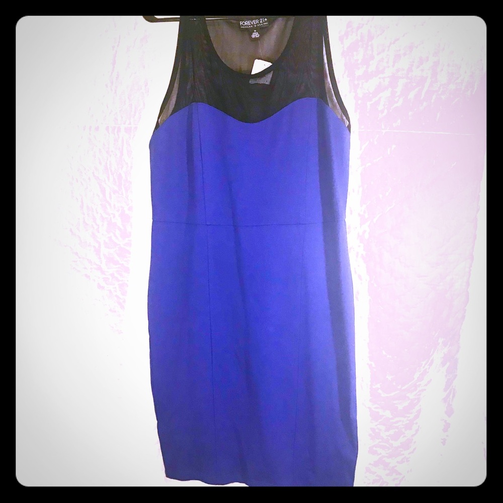Forever21 blue/black mesh knee length bodycon